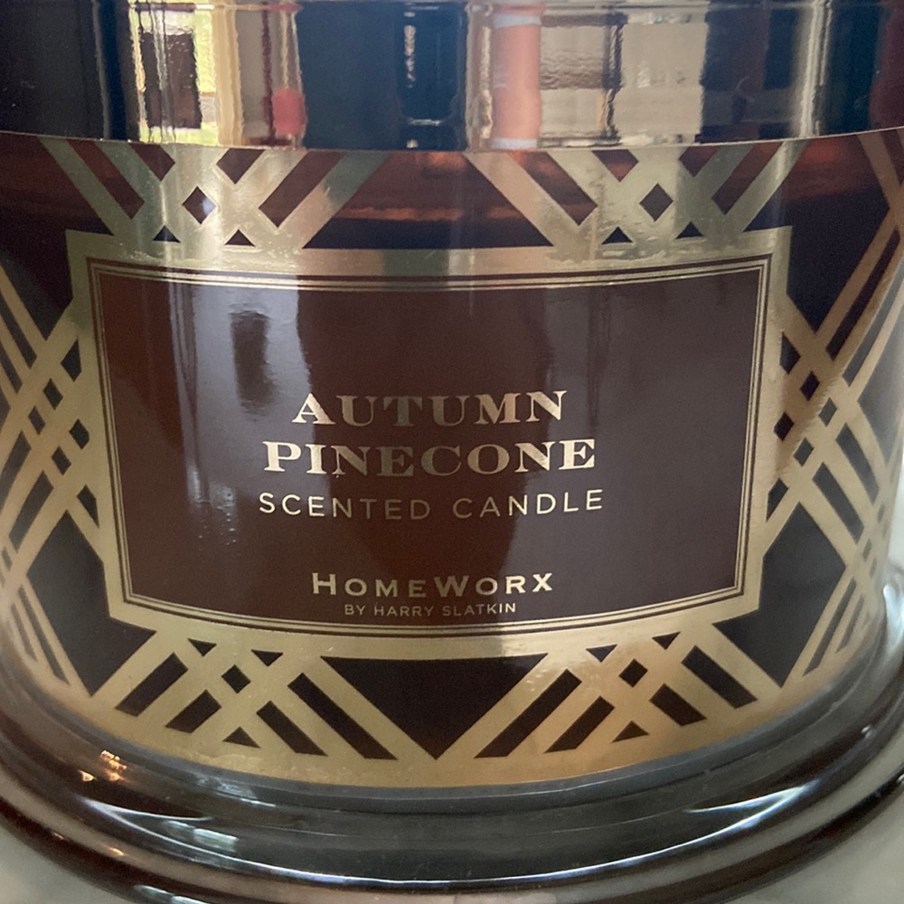 NEW never burned Autumn Pinecone candle - Homeworx by Harry Slatkin